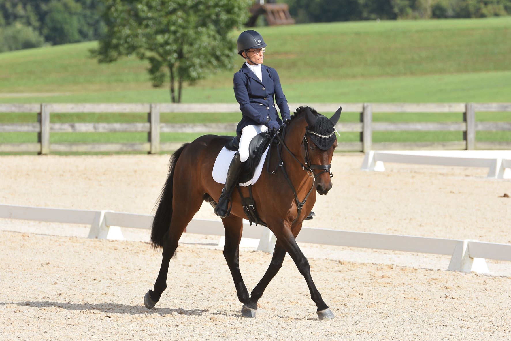 Coop Chatt dressage